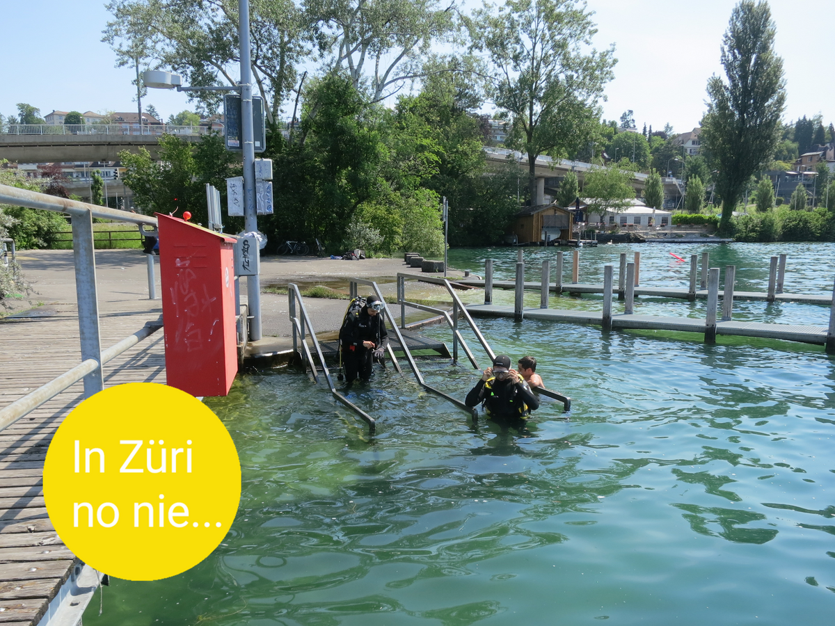Mood image for Sommerserie: Tauchen im Zürichsee – verloren im grünen Nichts