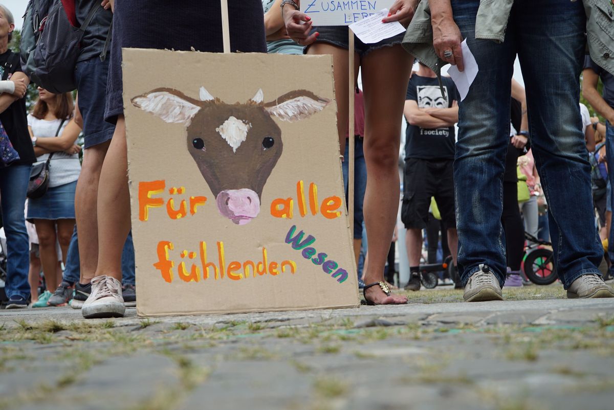 Article image for Die idealistischsten Plakate vom Animal Rights March