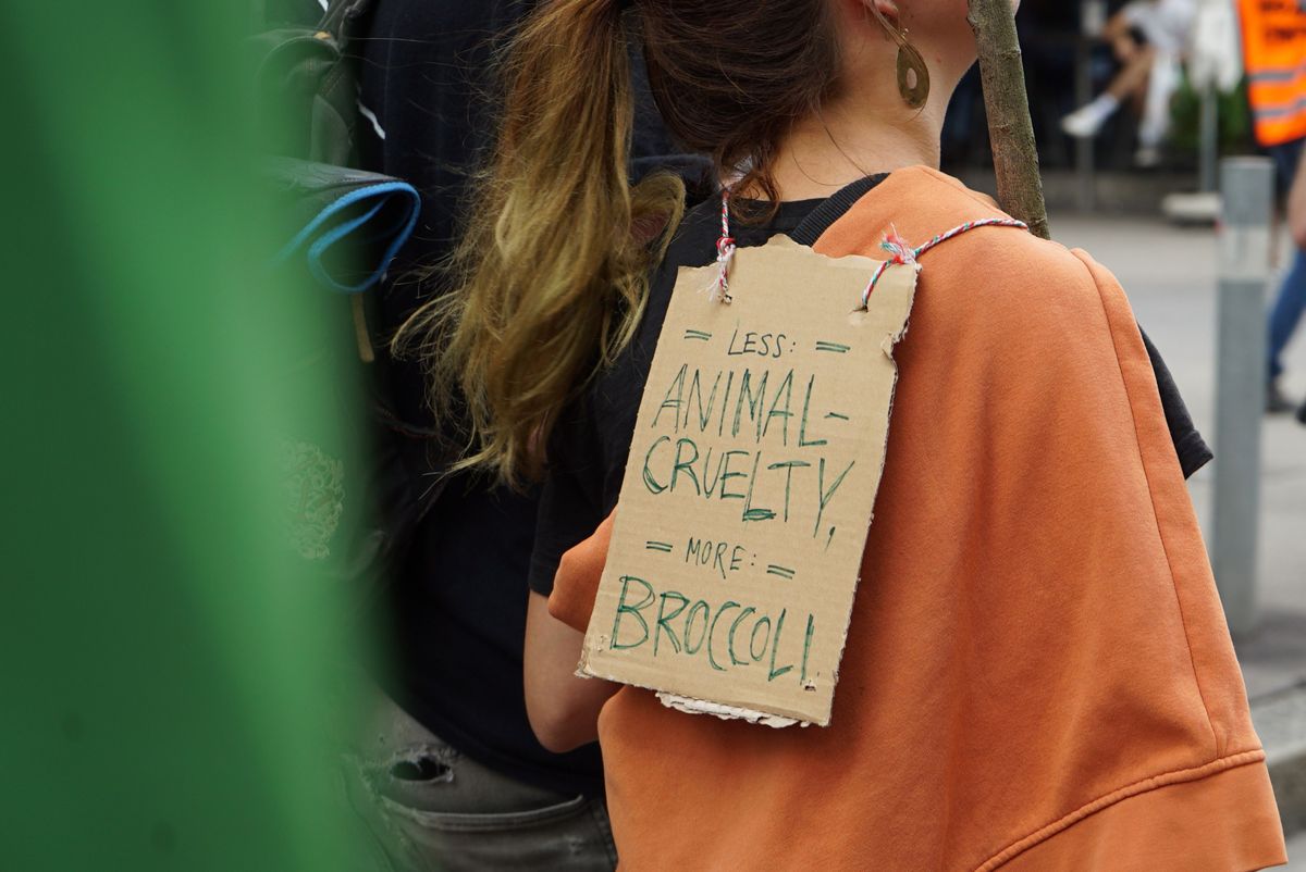 Article image for Die idealistischsten Plakate vom Animal Rights March