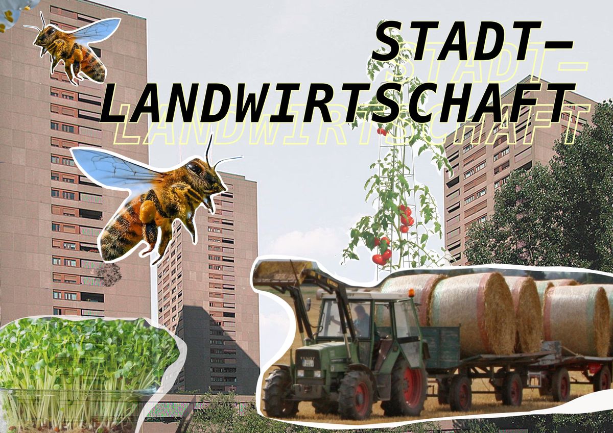 Mood image for Umfrage Fokus Stadt-Landwirtschaft