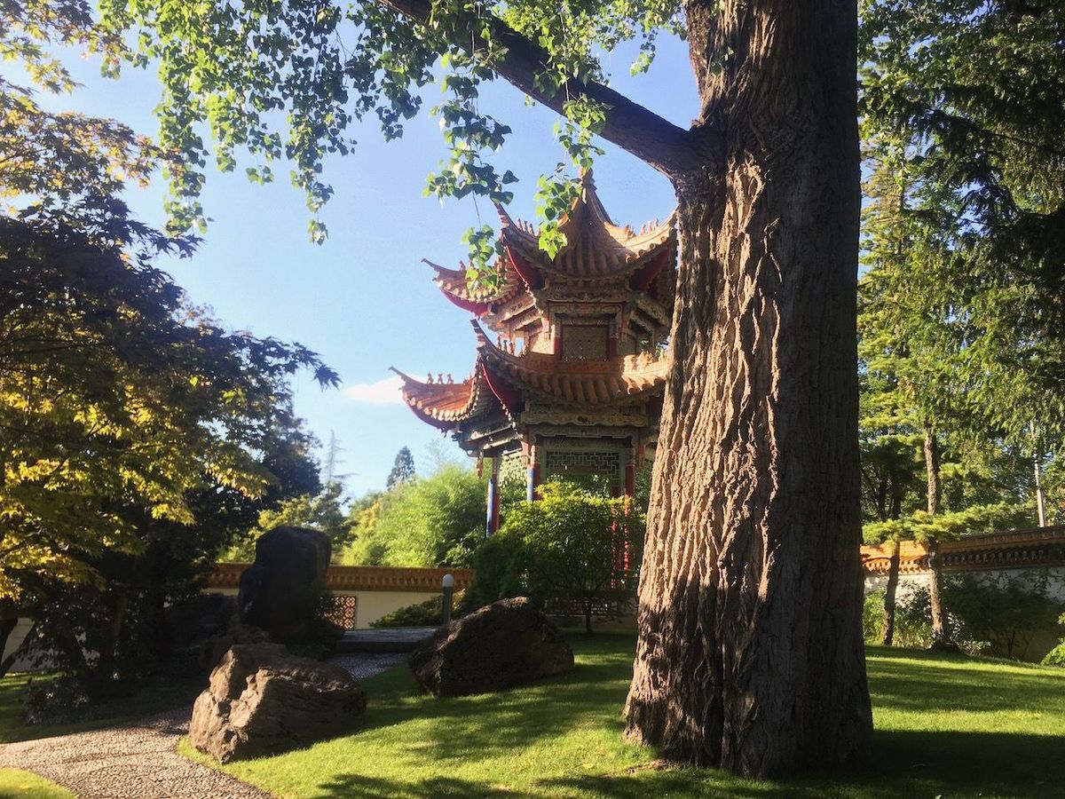 Article image for Ein Ausflug in den Kreis 8: Chinagarten und «Chole»