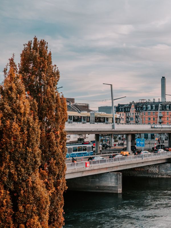 Mood image for «Zürich soll nicht grauer, sondern grüner werden»