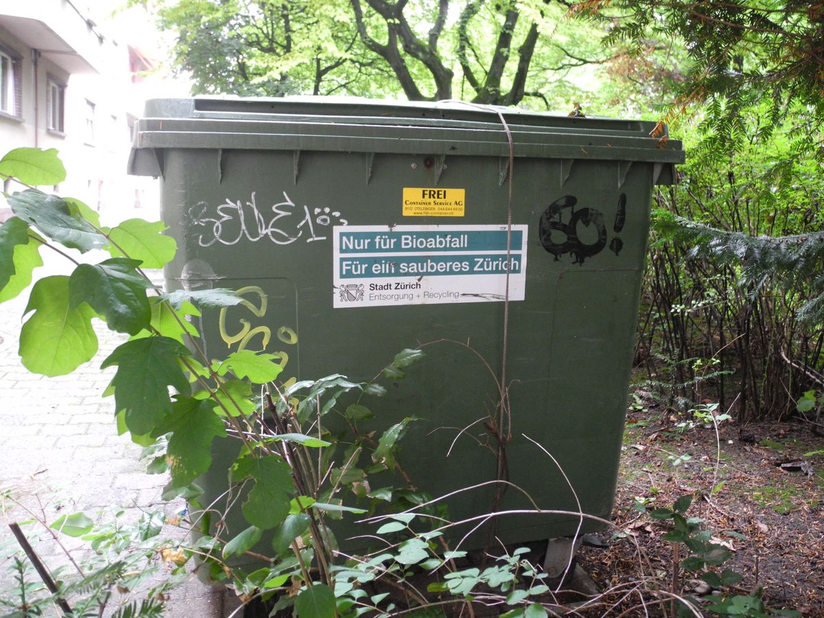 Article image for Die Bioabfall-Odyssee oder warum ich jetzt Mitglied der Kompostgruppe bin