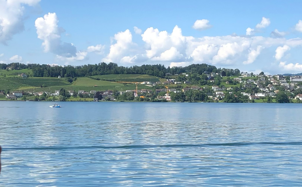 Article image for Als Tourist auf dem Zürichsee: Von Spareribs, Federer und «Käptn’s Wy»