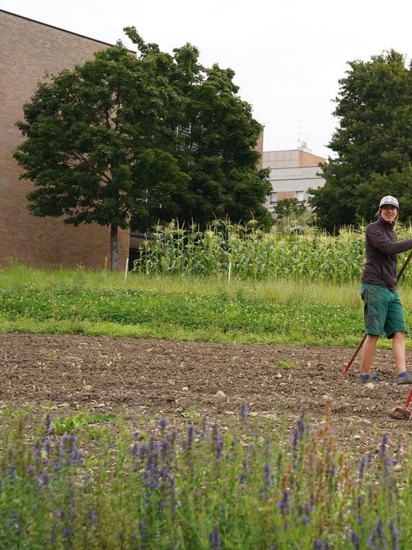 Mood image for 12 Dinge die du am Urban Farming Day erleben kannst
