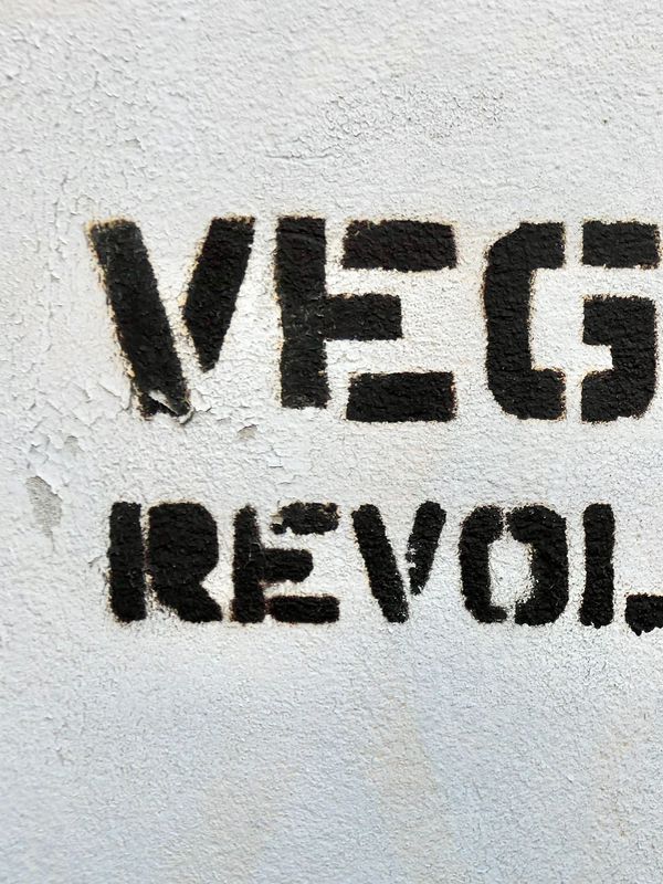 Meta image for Veganismus-Kolumne: Ich missioniere? Du auch!