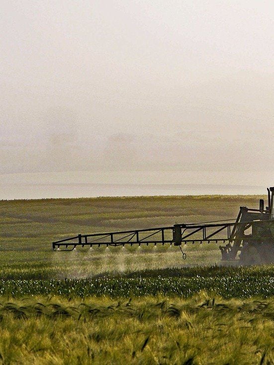 Mood image for Synthetische Pestizide – worum geht es eigentlich?