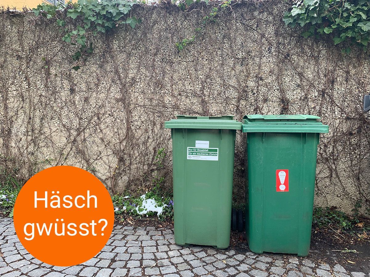 Mood image for «Häsch gwüsst?»: Deshalb wird der Bioabfall in Zürich nicht automatisch abgeführt